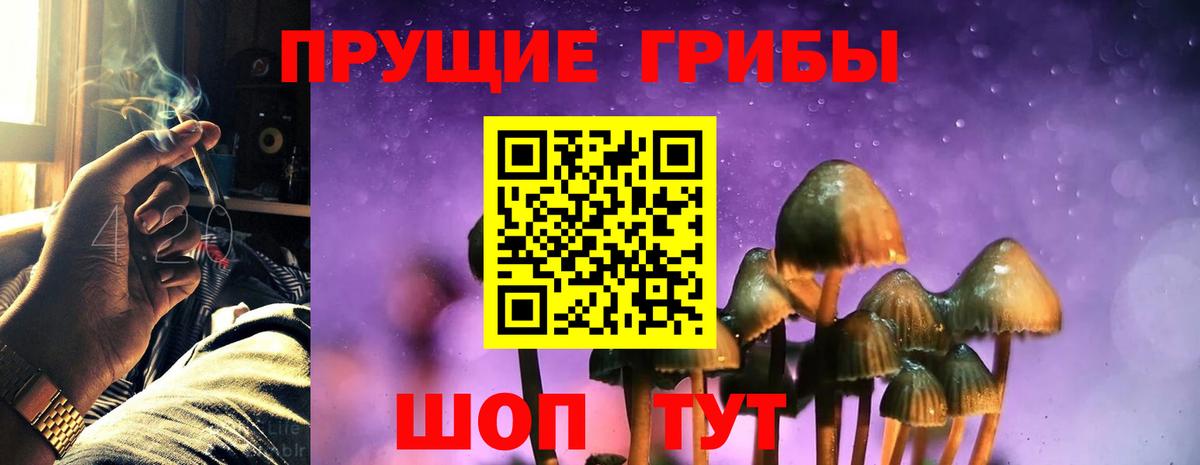 Псилоцибиновые грибы Magic Shrooms  Вход с VPN  Братск 